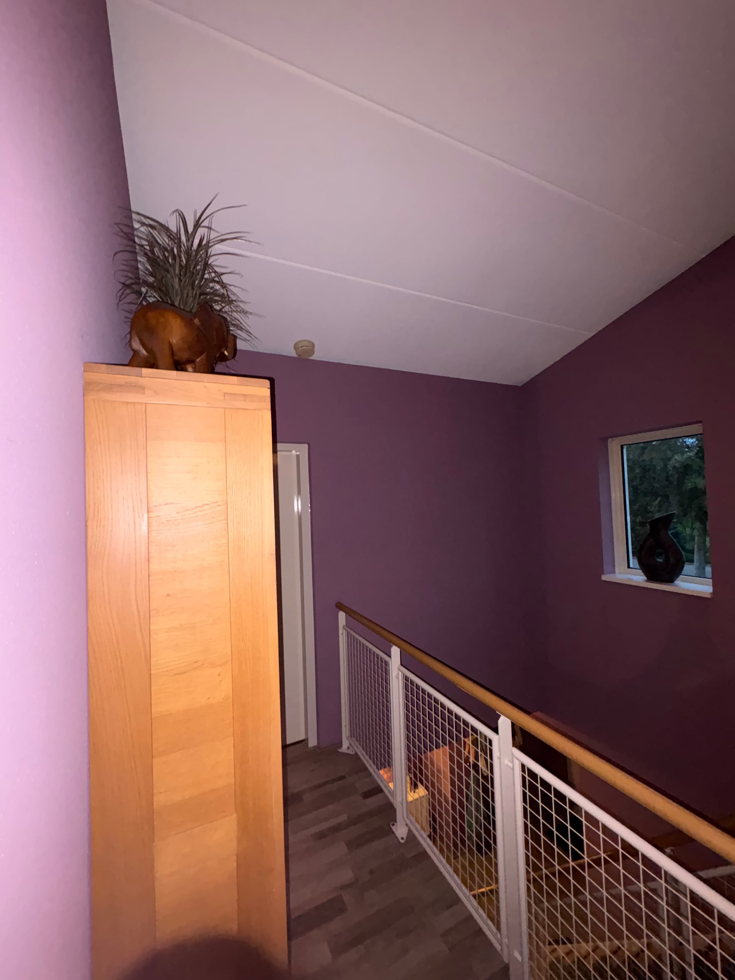 Schilderwerk Bedrijfspand in Kropswolde - foto 2